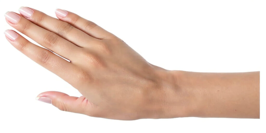 Neutral Skin Undertone Complexion