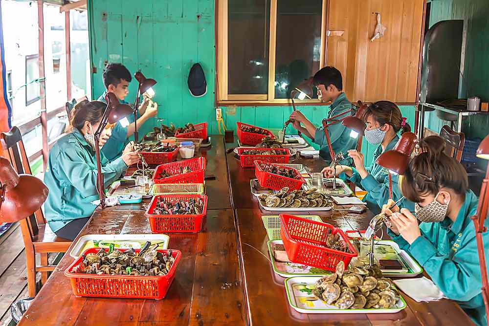 Pearl Nucleation Workers