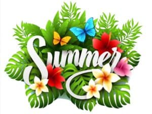 Shop Spectacular Summer Styles And Fashionable Summer Finds