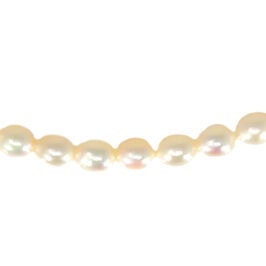 Elegant Freshwater Pearl Necklace - Pearls